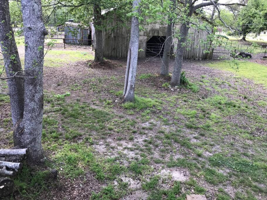 La Maison Du Bayou Petite Anse Near Avery Island 新伊比利亚 外观 照片
