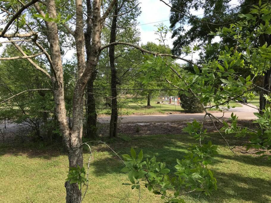 La Maison Du Bayou Petite Anse Near Avery Island 新伊比利亚 外观 照片